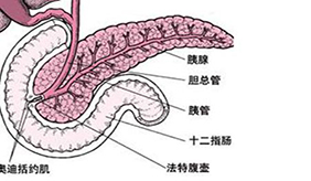 &#20048;&#40060;&#23448;&#26041;&#31471;&#32593;&#31449;&#30331;&#24405;&#20837;&#21475;&#45;&#20048;&#40060;&#108;&#101;&#121;&#117;&#40;&#20013;&#22269;&#41;