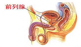 &#20048;&#40060;&#23448;&#26041;&#31471;&#32593;&#31449;&#30331;&#24405;&#20837;&#21475;&#45;&#20048;&#40060;&#108;&#101;&#121;&#117;&#40;&#20013;&#22269;&#41;