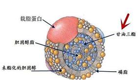 &#20048;&#40060;&#23448;&#26041;&#31471;&#32593;&#31449;&#30331;&#24405;&#20837;&#21475;&#45;&#20048;&#40060;&#108;&#101;&#121;&#117;&#40;&#20013;&#22269;&#41;