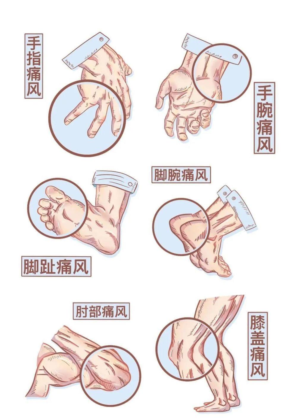 &#20048;&#40060;&#23448;&#26041;&#31471;&#32593;&#31449;&#30331;&#24405;&#20837;&#21475;&#45;&#20048;&#40060;&#108;&#101;&#121;&#117;&#40;&#20013;&#22269;&#41;