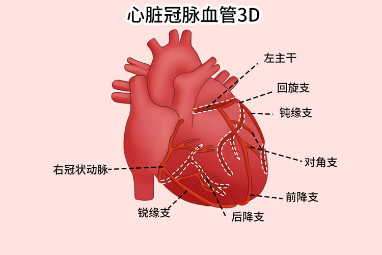 乐鱼官方端网站登录入口-乐鱼leyu(中国)
