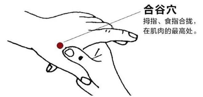 &#20048;&#40060;&#23448;&#26041;&#31471;&#32593;&#31449;&#30331;&#24405;&#20837;&#21475;&#45;&#20048;&#40060;&#108;&#101;&#121;&#117;&#40;&#20013;&#22269;&#41;