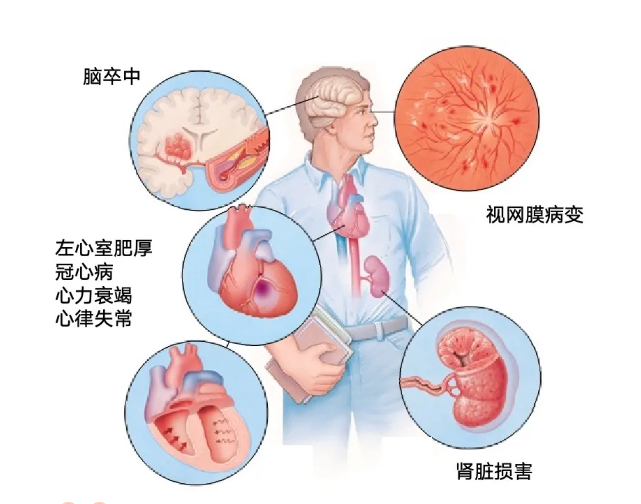 &#20048;&#40060;&#23448;&#26041;&#31471;&#32593;&#31449;&#30331;&#24405;&#20837;&#21475;&#45;&#20048;&#40060;&#108;&#101;&#121;&#117;&#40;&#20013;&#22269;&#41;